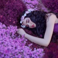 The Tales of Hoffmann