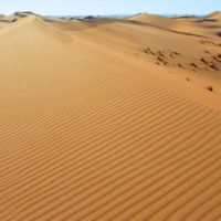 The Sublime and the Beautiful