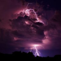 Neither Alive Nor Dead