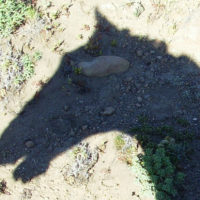 Breaking versus Whispering