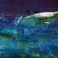 Montreal-Under-the-Sea