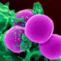 From One Mode to Another