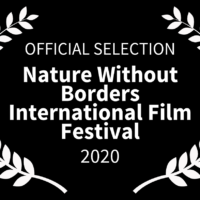 The Blinding Sea at the Nature Without Borders Film Festival