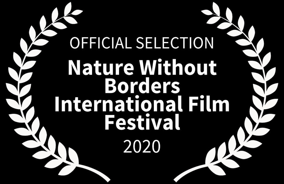 The Blinding Sea at the Nature Without Borders Film Festival