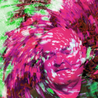 An Interlude in Provence