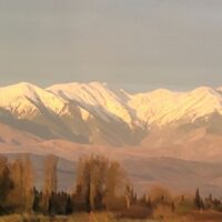 The New Wave in Perpignan