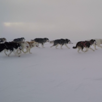 Breaking with the Eurocentric View