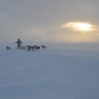 Feedback about the film