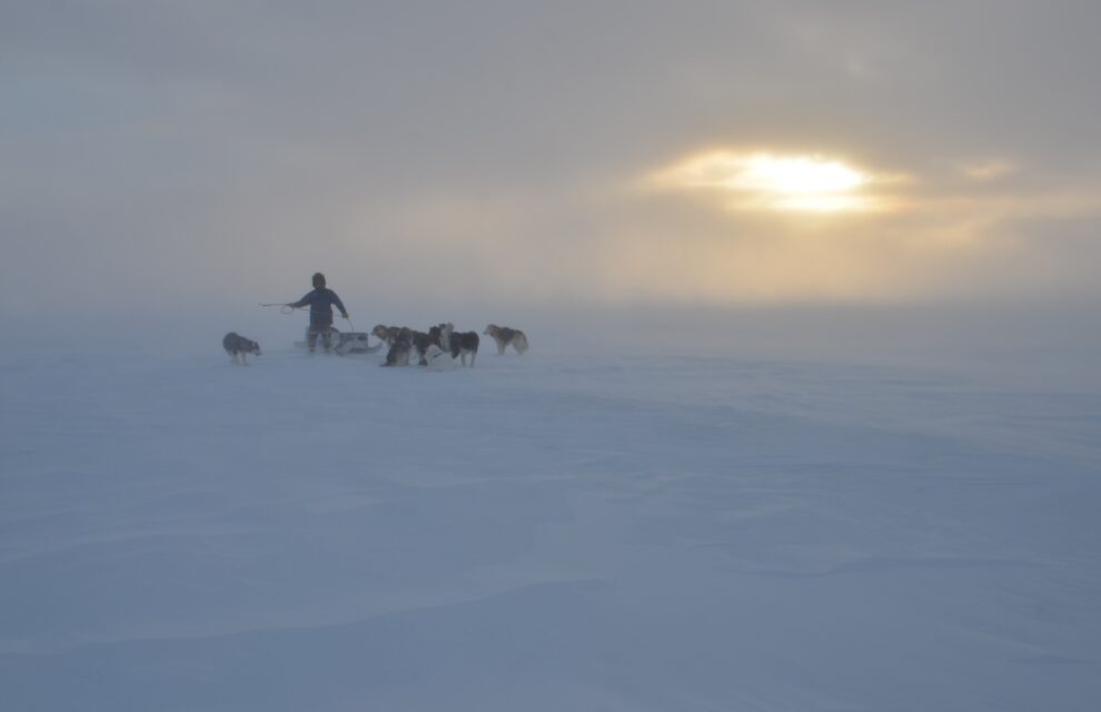 Feedback about the film