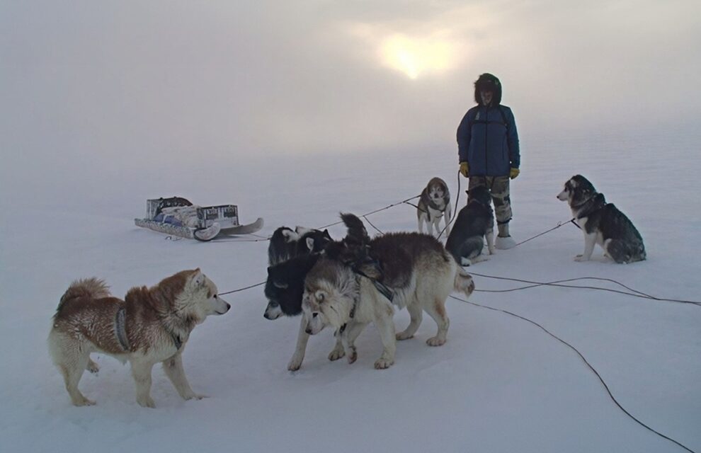 25 prix remportés dans des festivals