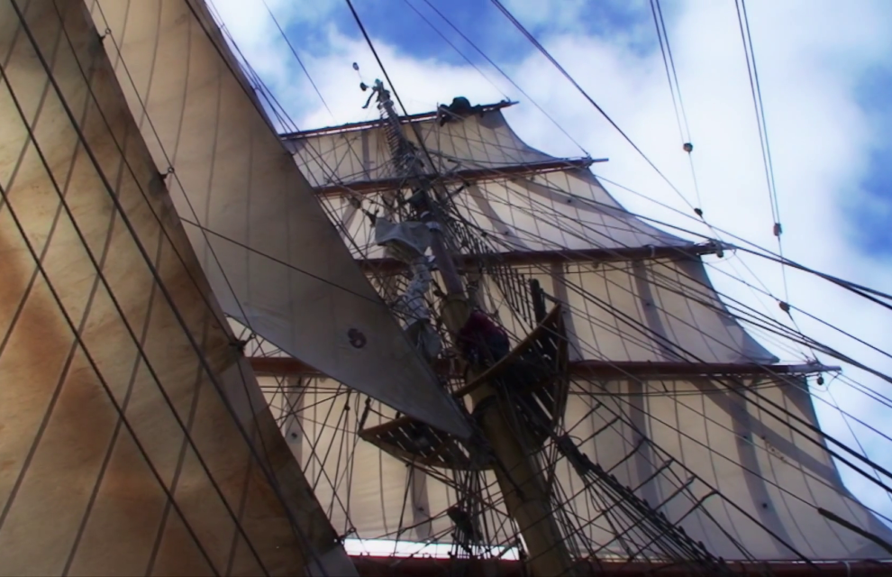 The Blinding Sea digital site licences