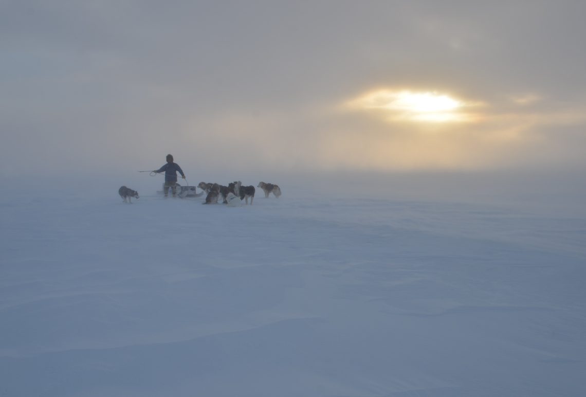 17 Dog team in white-out 2400x1626